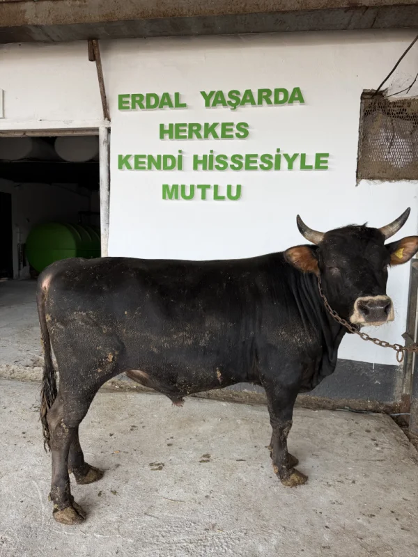 56Eb2wO9GmPohy0QGt1xoIsyHBcdtO-metaSU1HXzQyOTcuanBlZw==-