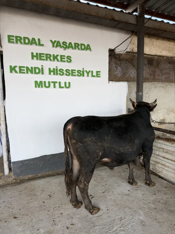 GPdAi0PNUBNaRJi8LbEVMihziRLJ7T-metaSU1HXzQyOTguanBlZw==-