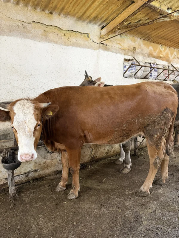 b26hMqK5hrLObwkIreeQQnlrLrPXzD-metaSU1HXzQzMDMuanBlZw==-