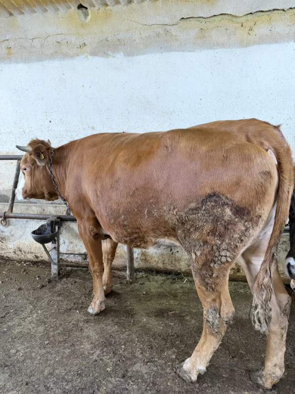 9TRbCdq4OfAk9gwkl6dxqVjfNLVOcH-metaSU1HXzQzMDEuanBlZw==-