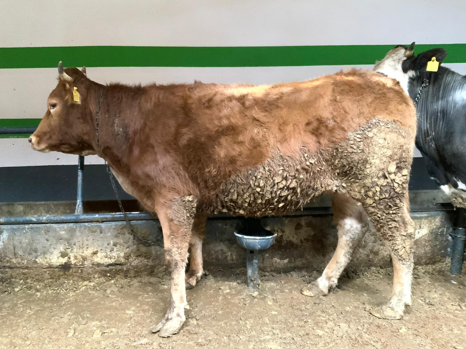 XOJDXgqMxsJLP1NX4zW2WBEks4kUsT-metaMi5qcGVn-