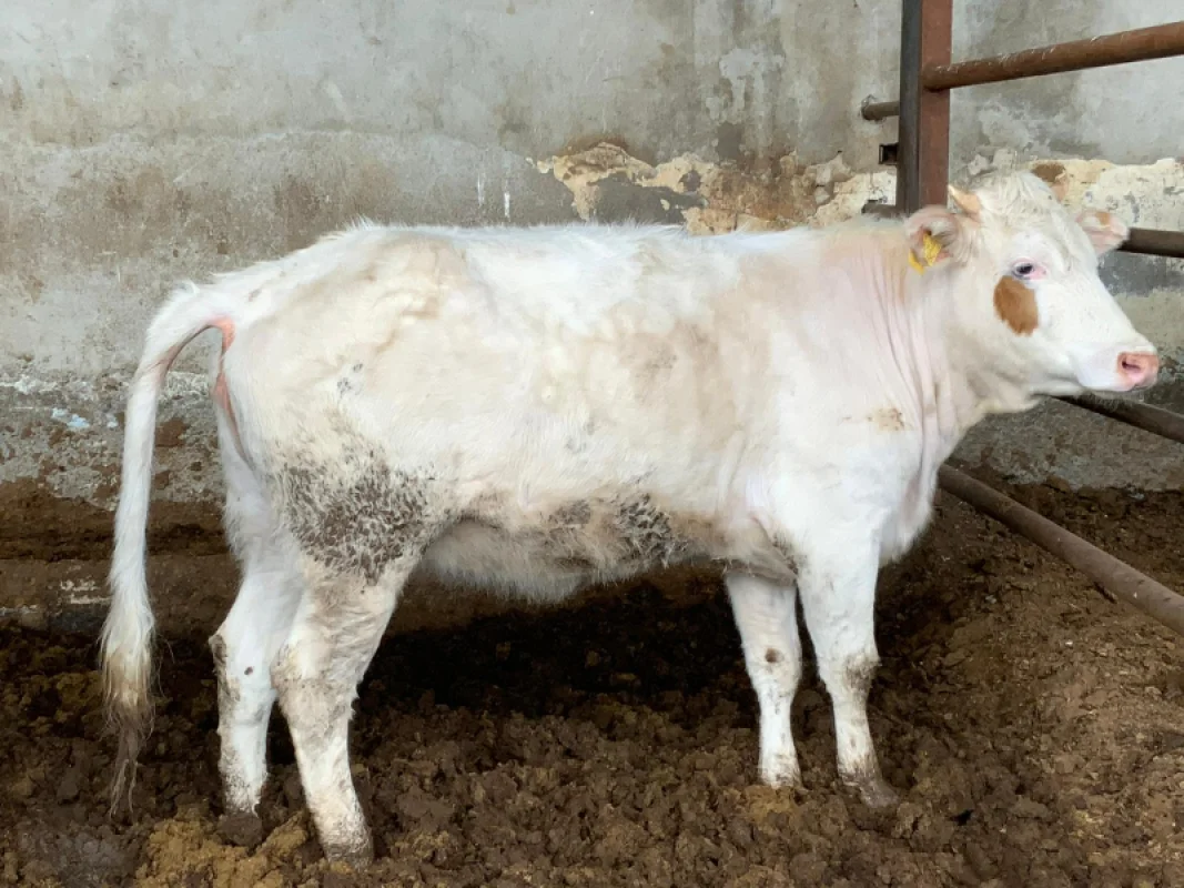 KDwTZrpsG2ktoxeAx5aPNOePGZdbRX-metaMi5qcGVn-