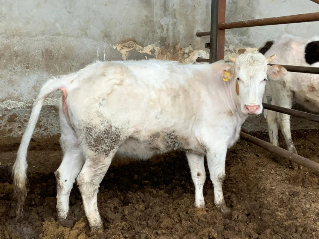 j39a4P2R5ZXp45MkxCV3dbcdks4mMU-metaMy5qcGVn-