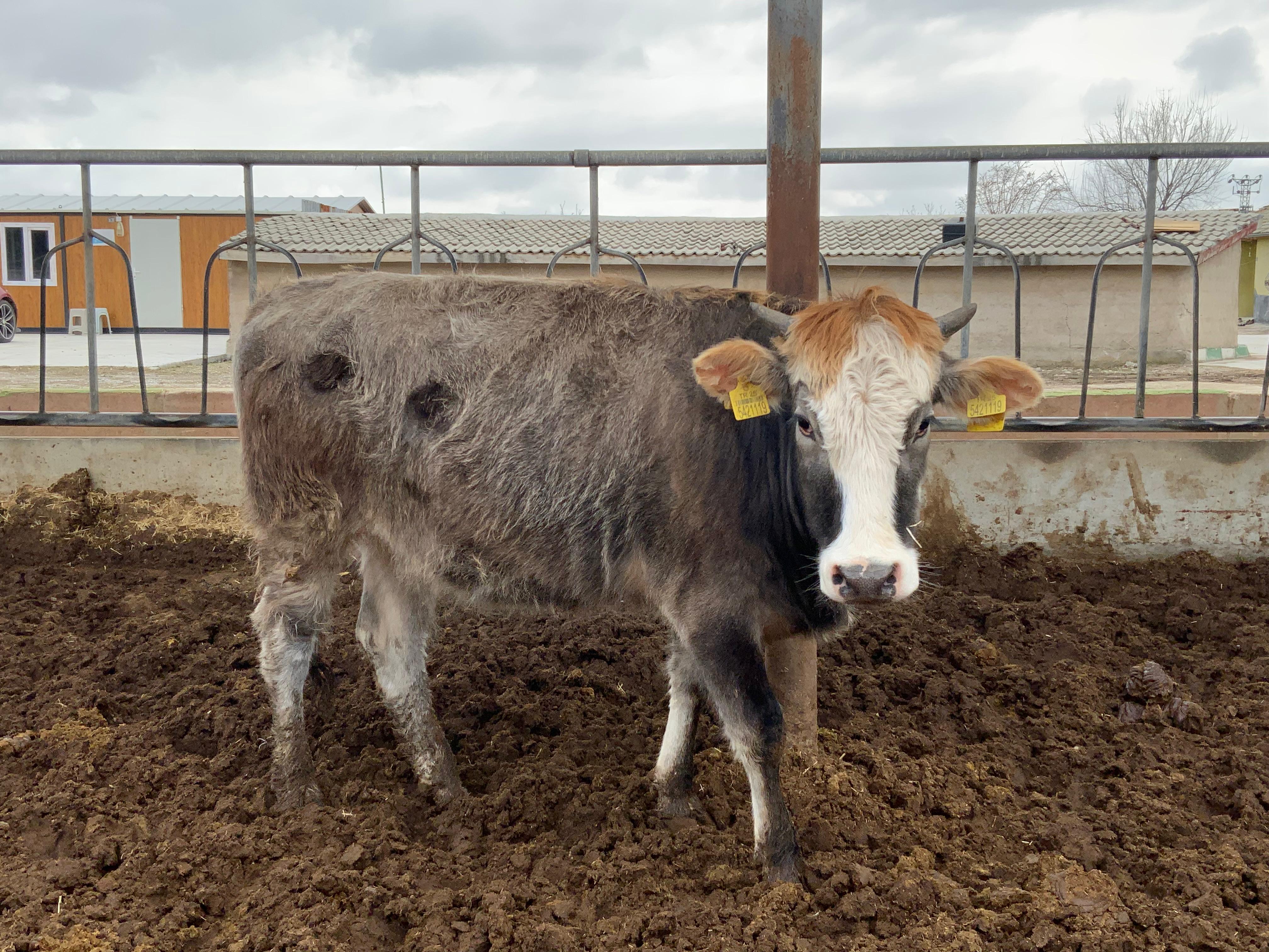 TMFhnmpC3RMjyBdOlfwXKRktOhSHoS-metaMi5qcGVn-