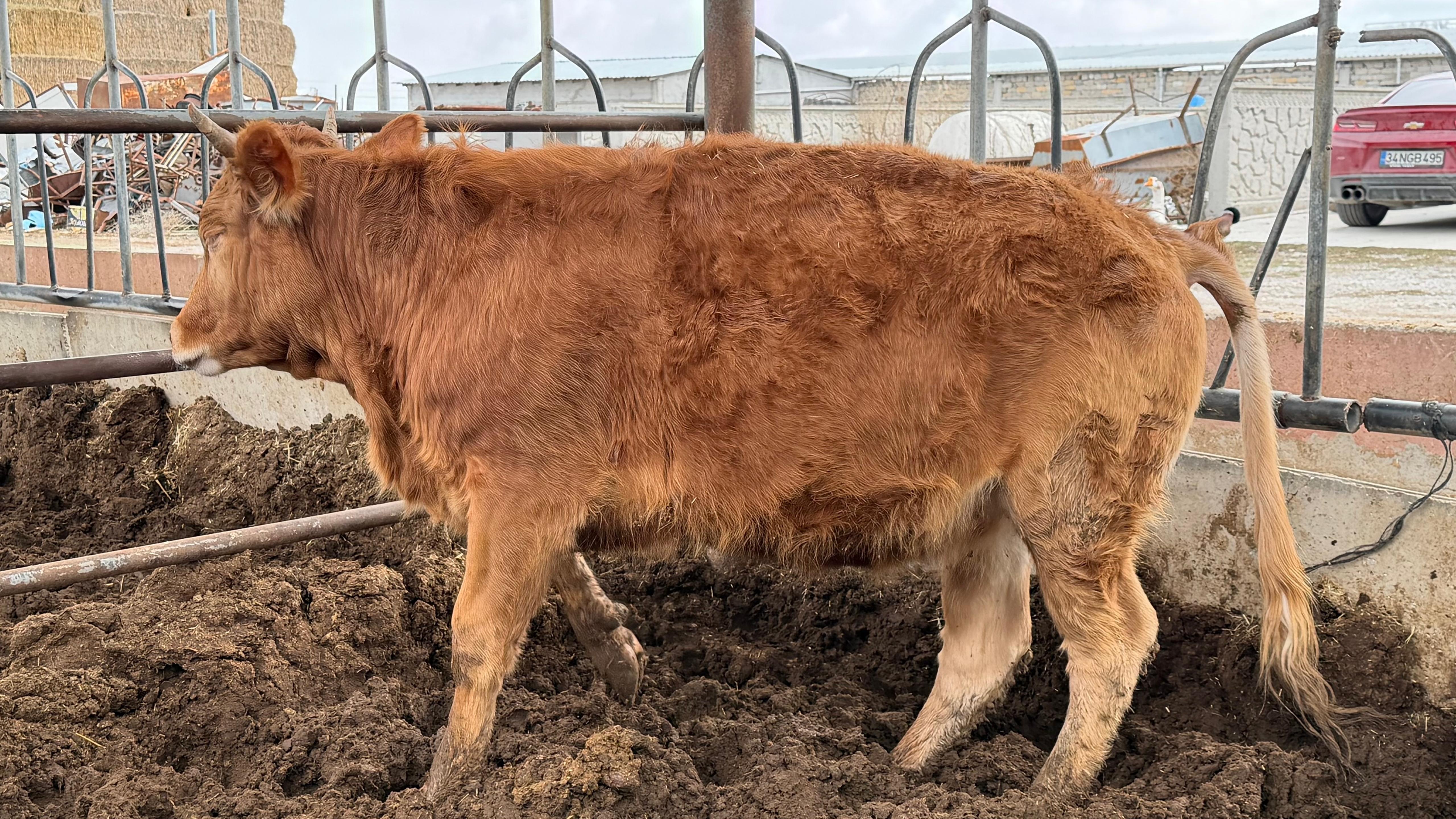 ujbpF86H5ghrAjHgRjtMLt4qCCs3Yq-metaMS5qcGVn-