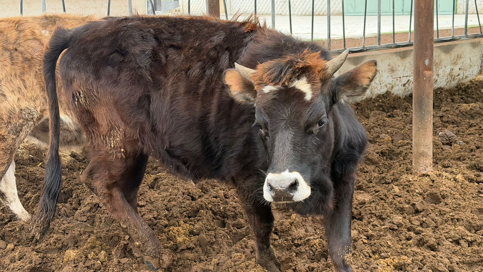 PxuQOtbu0LtLthaJB2CRwyh6Lqz8N3-metaMS5qcGVn-