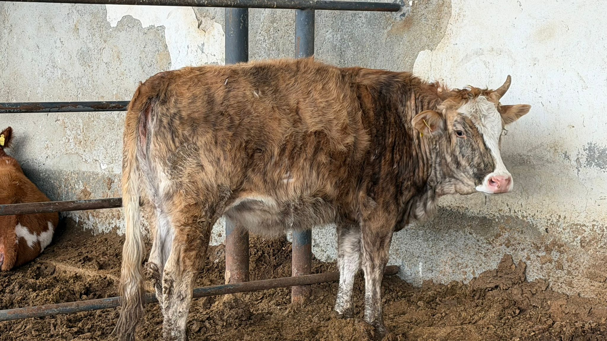 OVKodLas8ZlnXttQWmzx6W5hYp7ZpQ-metaNC5qcGVn-