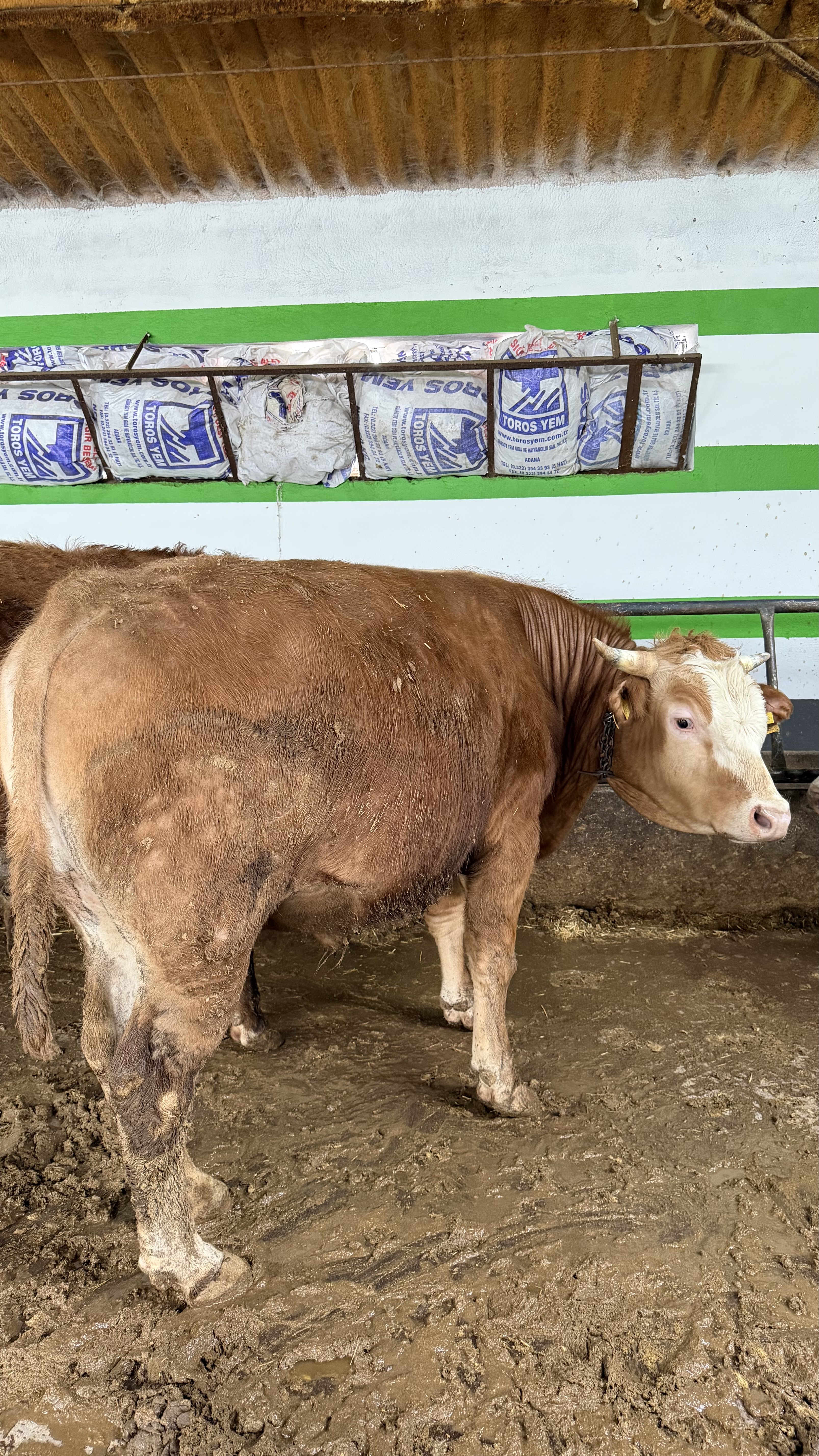 nx2MuXmKje1Cgd09DPqvfoyq1z1W37-metaSU1HXzIzNDkuanBlZw==-